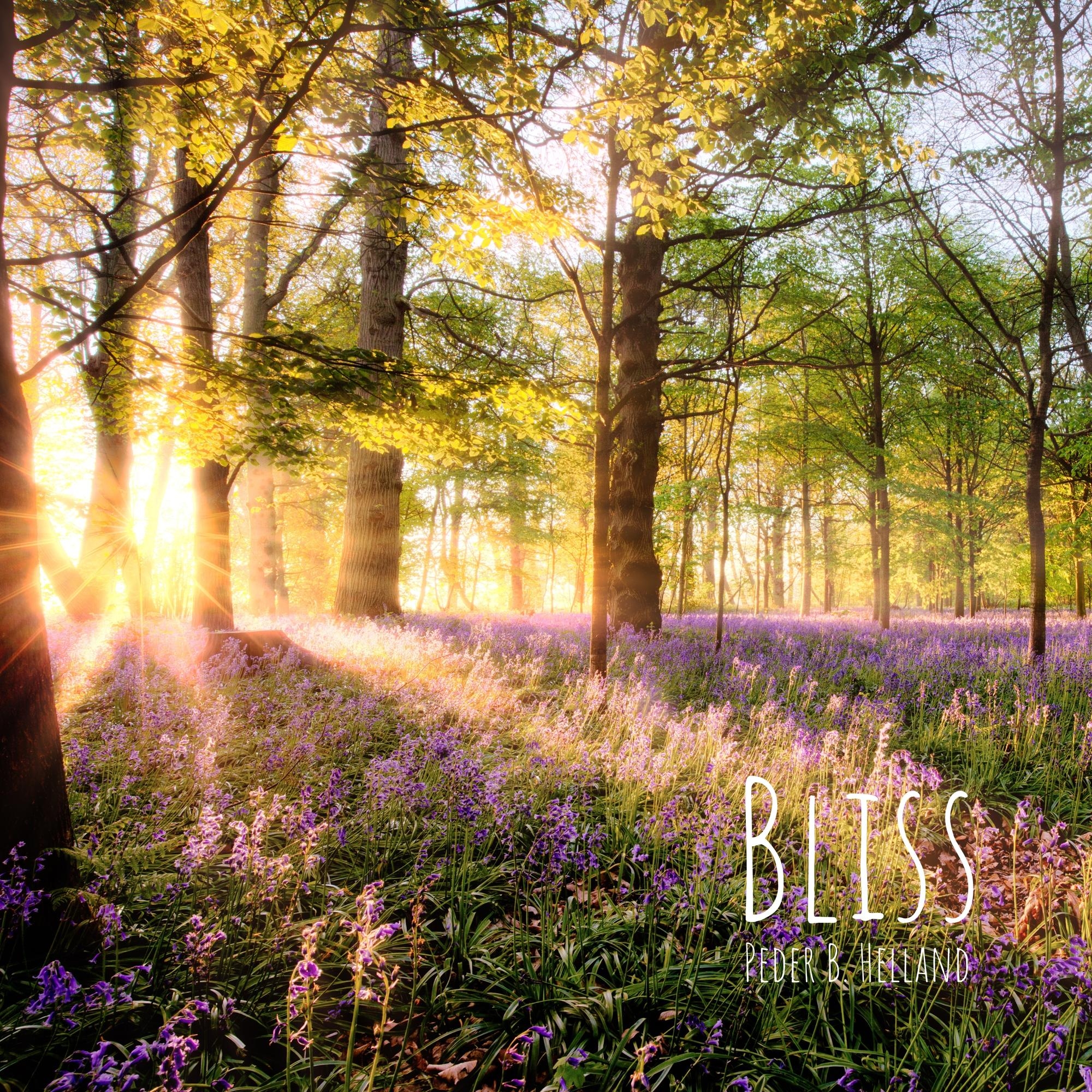 Cover art for the single Bliss by Peder B. Helland