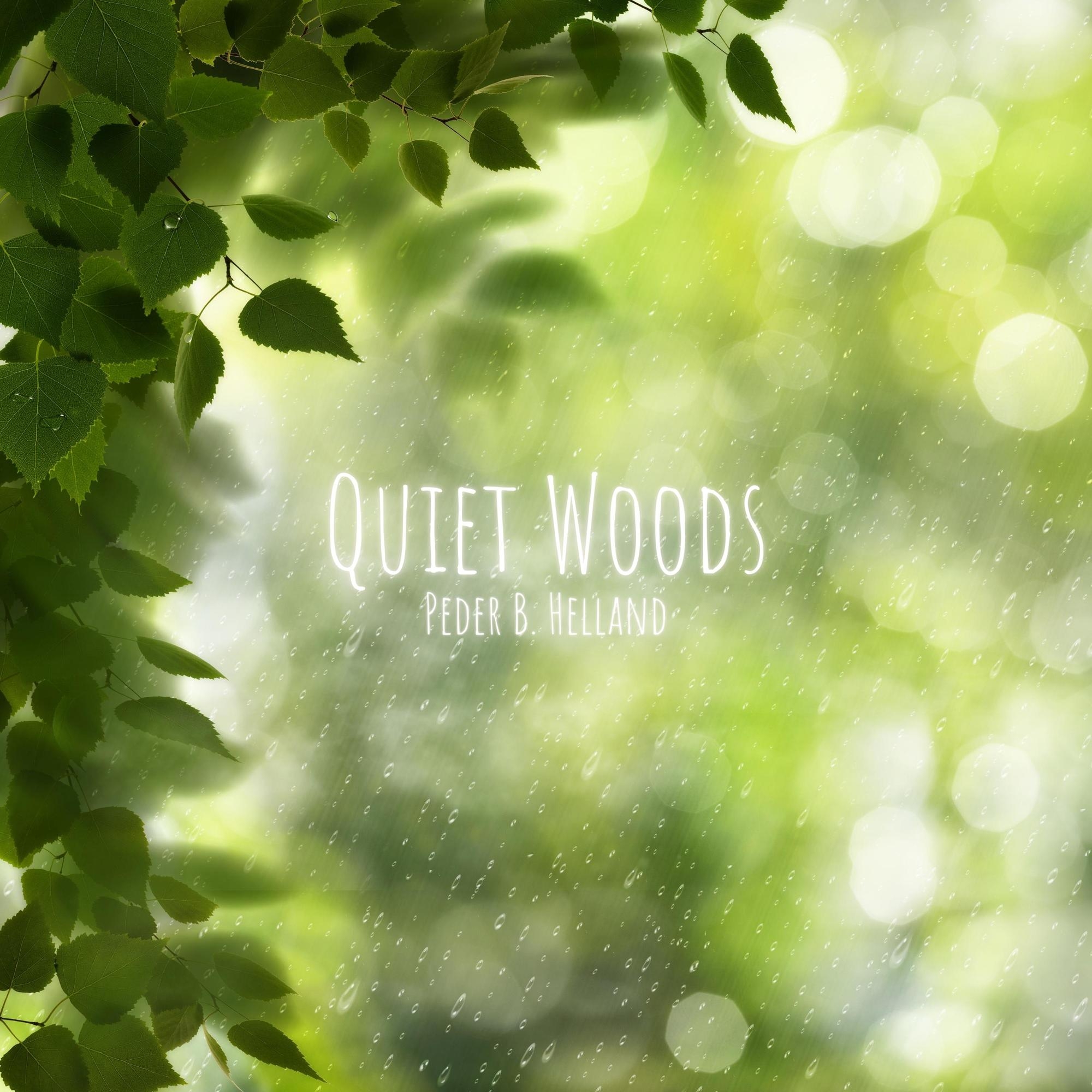 Cover art for the single Quiet Woods by Peder B. Helland